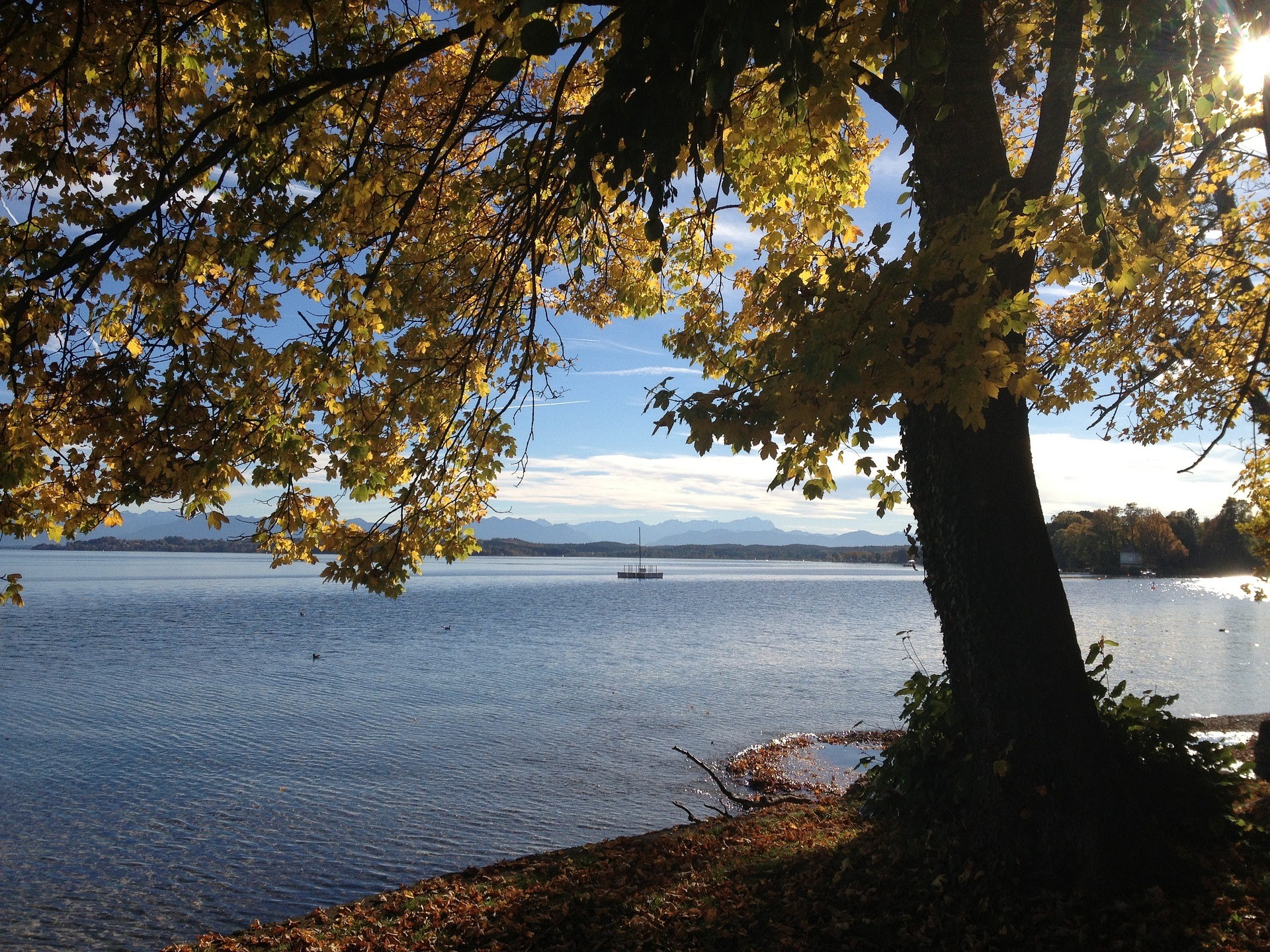 Starnberger See mit Zugspitz-Panorama und Herbstbaum